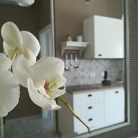 Casa Mari Apartment Turin